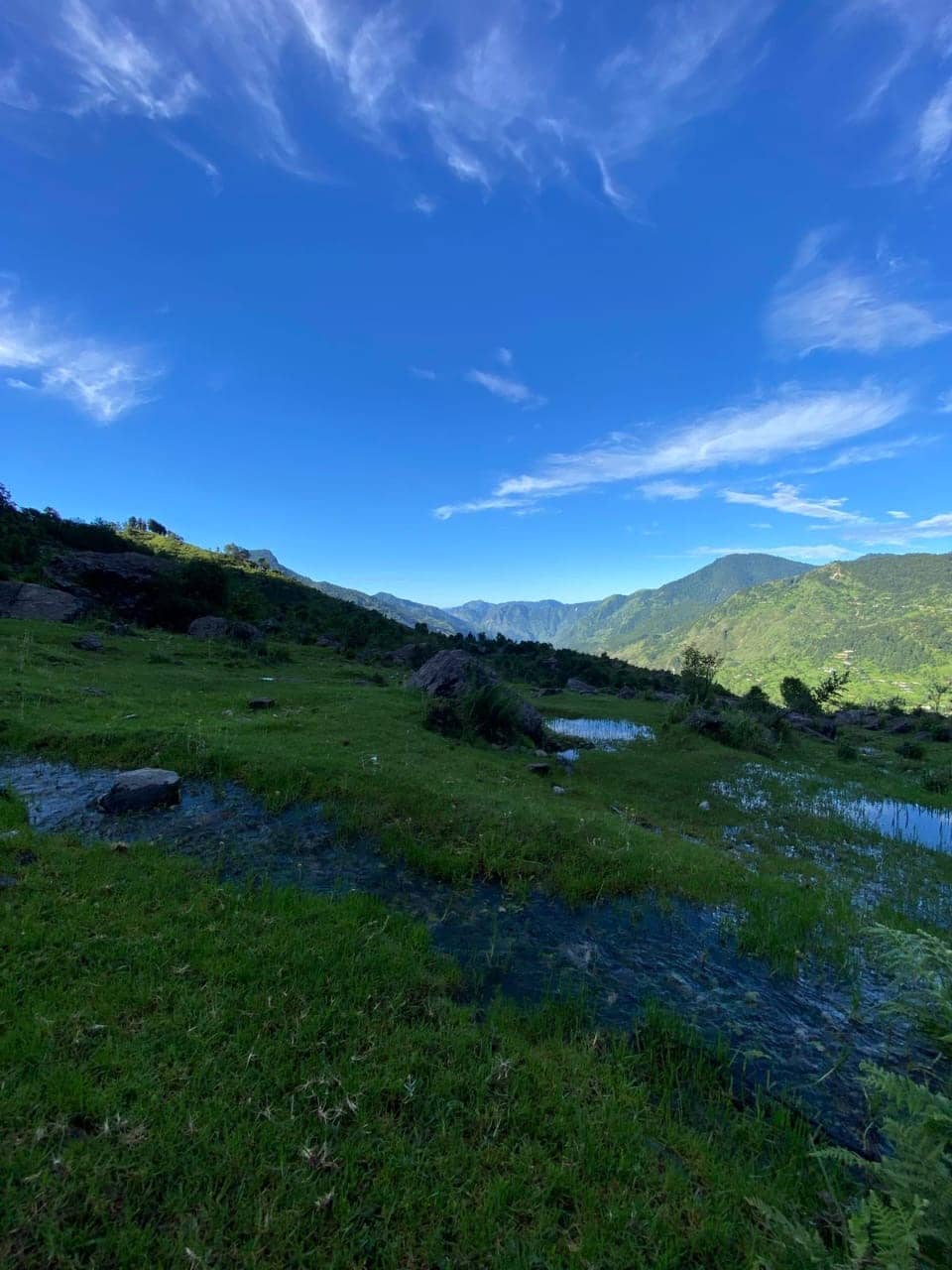 A meadow with standing water under a deep blue sky