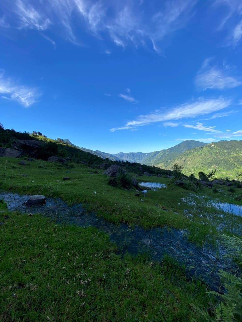 A green meadow with a mountain stream and blue sky